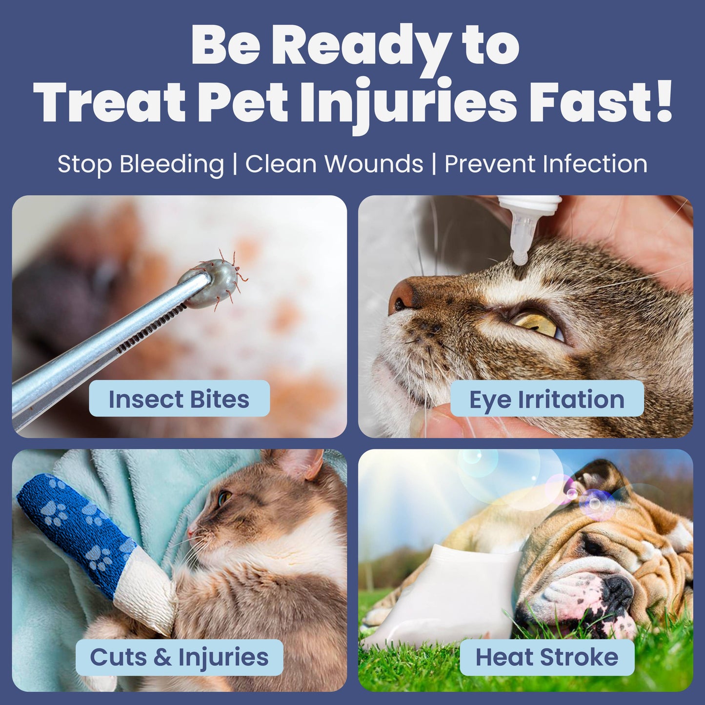 Pet First Aid Kit for Dogs & Cats with Vet-Approved Supplies